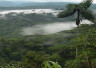 « Chine/Gabon, des intérêts communs de protection des forêts pour un équilibre planétaire »