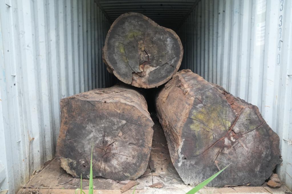 Conteneur de bois Kevazingo